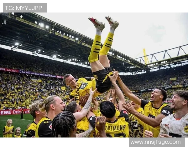 多特蒙德足球明星们的成长之路与辉煌成就解析